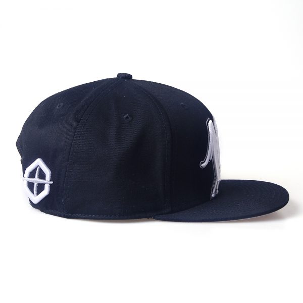 Snapback Cap